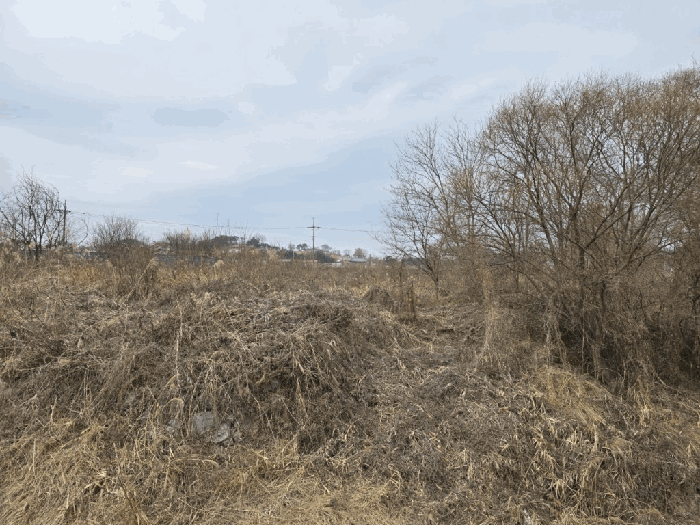 본건전경-기호(2)