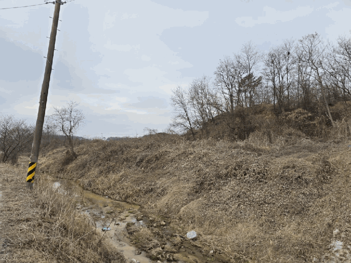 본건전경-기호(1)