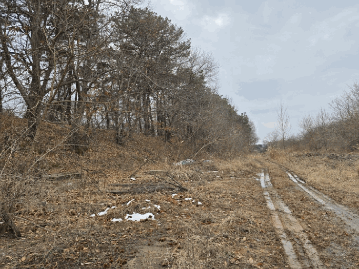 본건전경-기호(5)