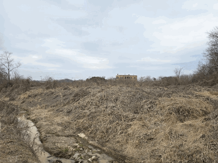 본건전경-기호(1)