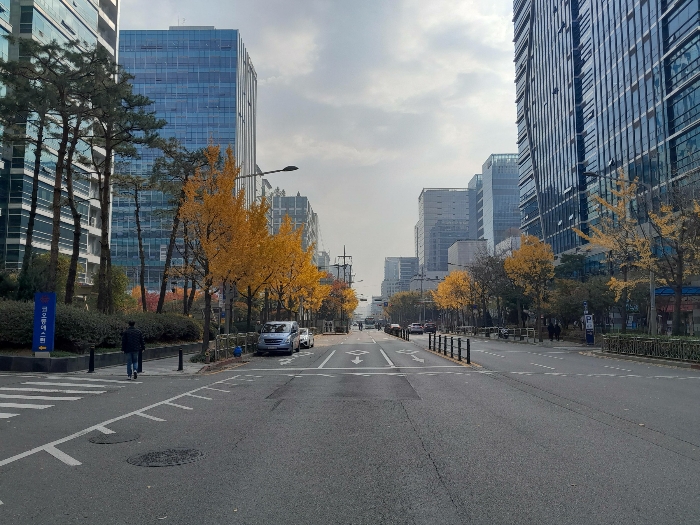 주위환경(남서측 도로변)