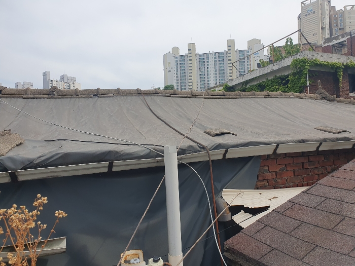 기호 (1-1) 지붕 방수포 상황