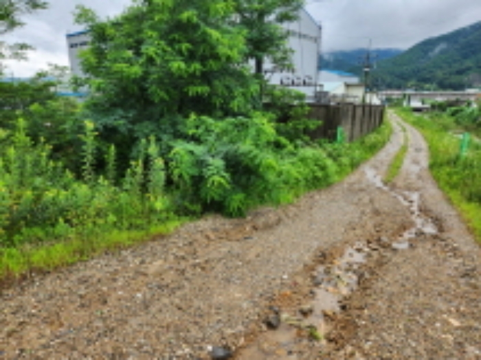 목록9 토지 전경(일부 도로로 이용)