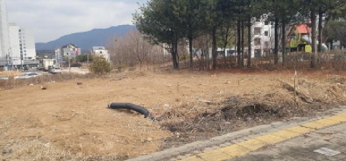 본건 토지 내부의 모습(나대지 상태임)