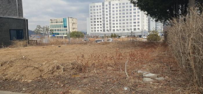 본건 토지를 율정어린이 공원방향에서 바라본 모습