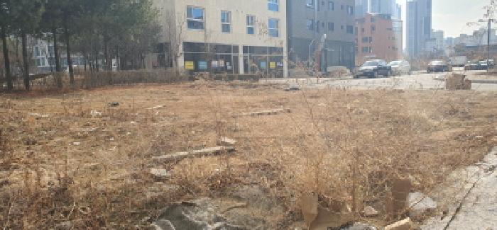 본건 토지를 공임나라 건물 방향에서 바라본 모습