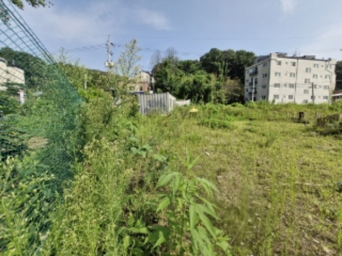 물건 3(내손동 87) 전경(남쪽에서 본 사진). 카카오지도상 사진 왼쪽의 옆 토지와 경계가 불분명