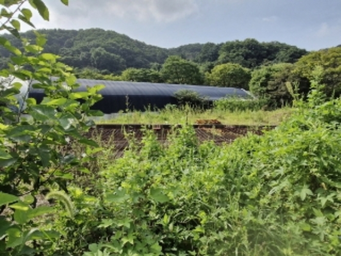 물건 1(내손동 89) 전경 - 도로쪽에서 본 사진