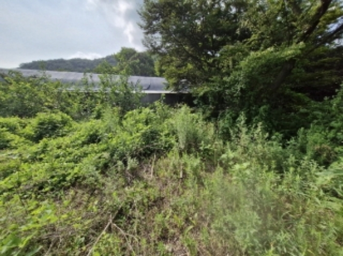 물건 2(내손동 89-2) 전경 - 물건 3.에서 본 사진