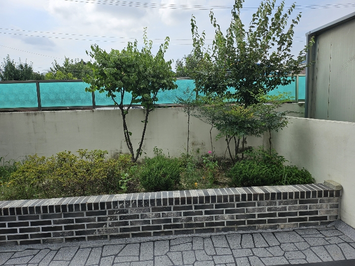 제시외 수목등 주위환경