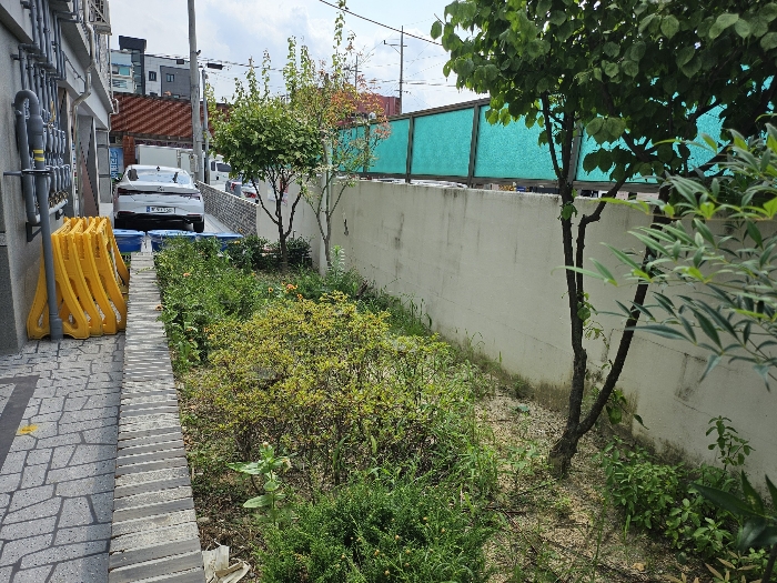 제시외 수목등 주위환경