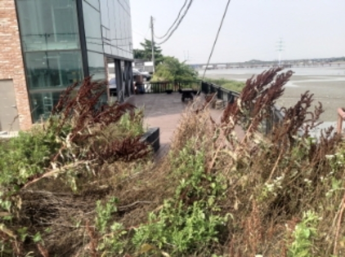 2.,3.목록 부동산