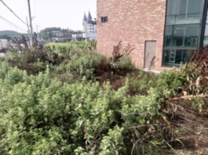 2.,3.목록 부동산