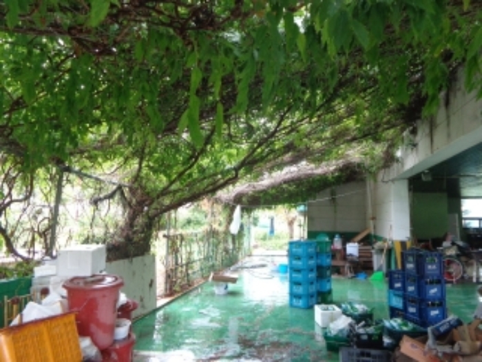 [목록 1] 남쪽 지상의 모습