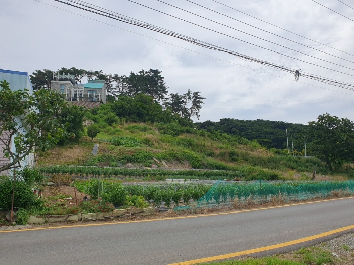 일련번호(1) 전경