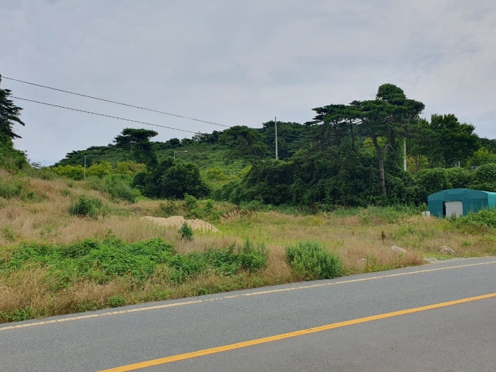 일련번호(2) 전경