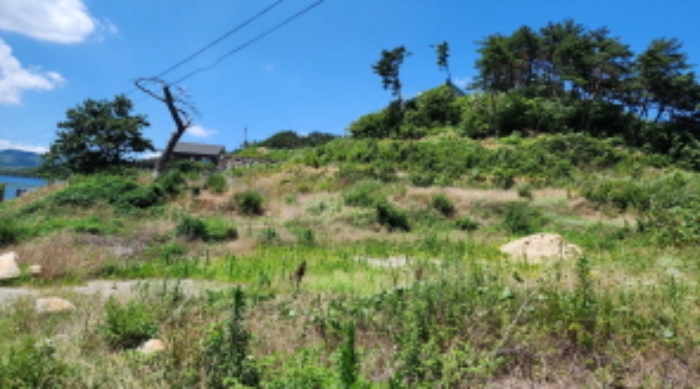 부동산의 표시 1.