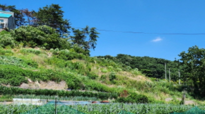 부동산의 표시 1.