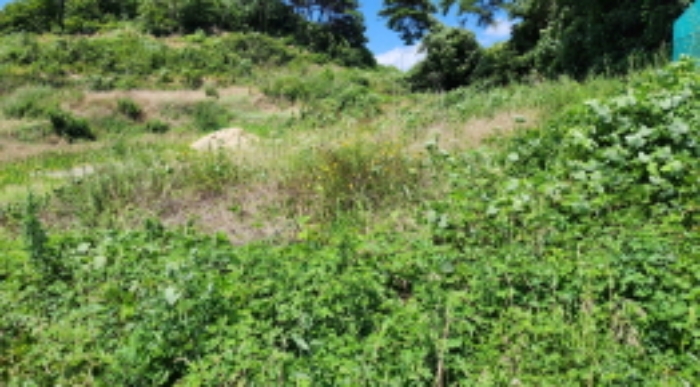 부동산의 표시 2.