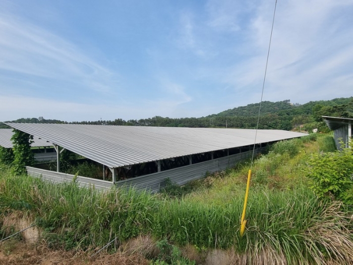 본건 전경 5-다)-8-바)