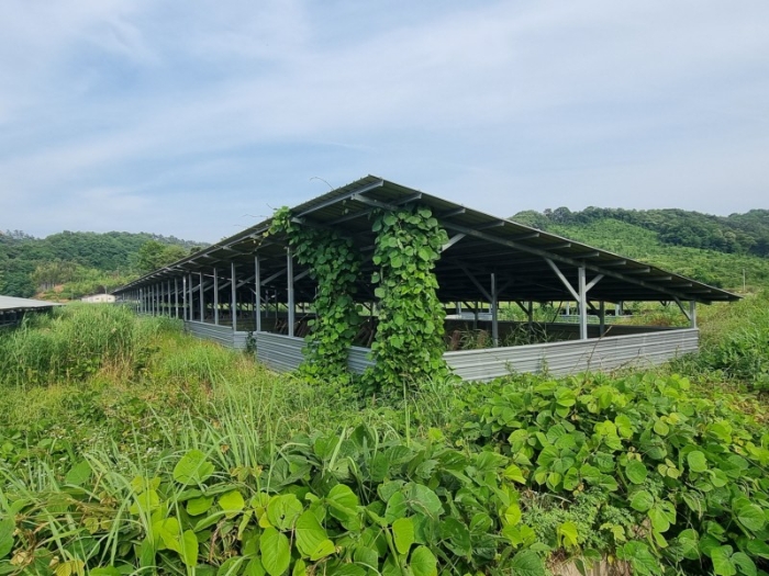 본건 전경 5-다)-8-바)