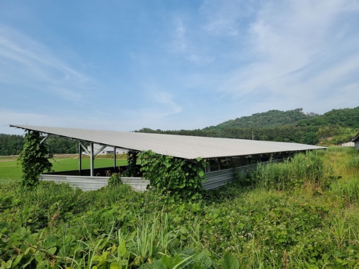 본건 전경 9-사)-12-차)