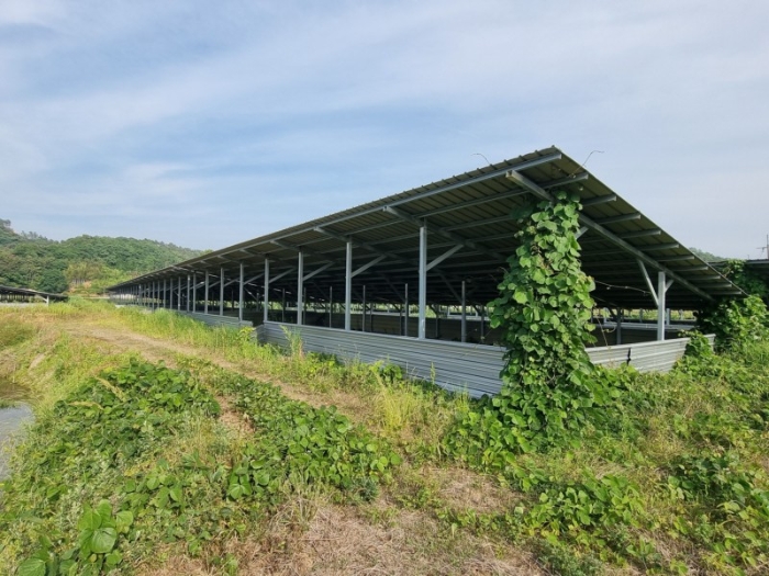 본건 전경 9-사)-12-차) 