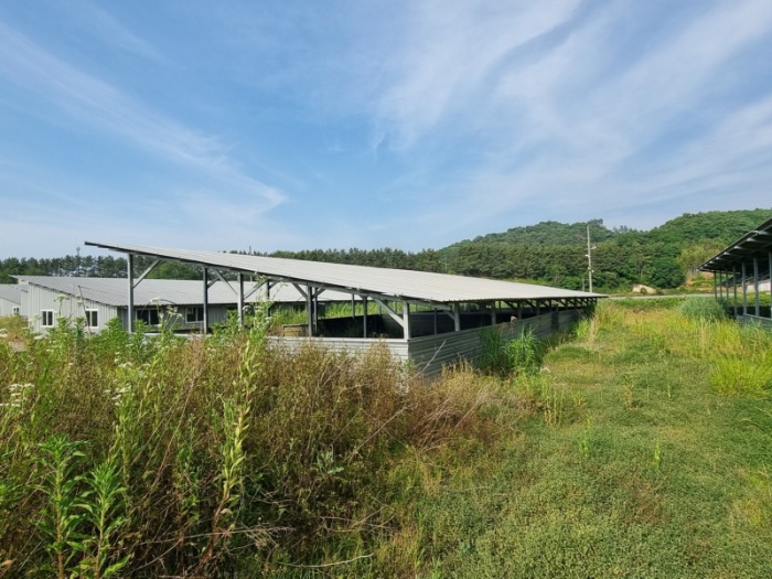 본건 전경 16-하), 17-거)