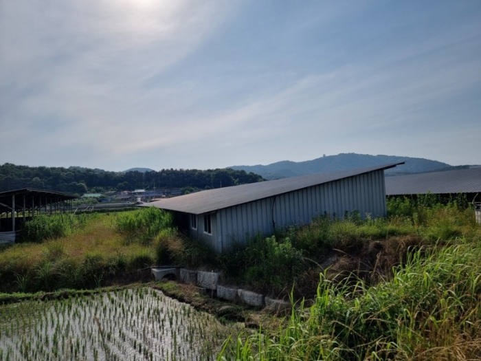 본건 전경 19-더)