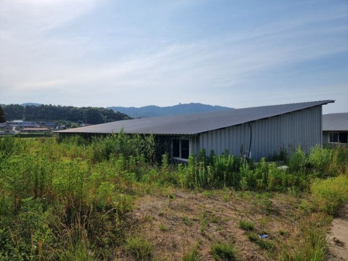 본건 전경 20-러)