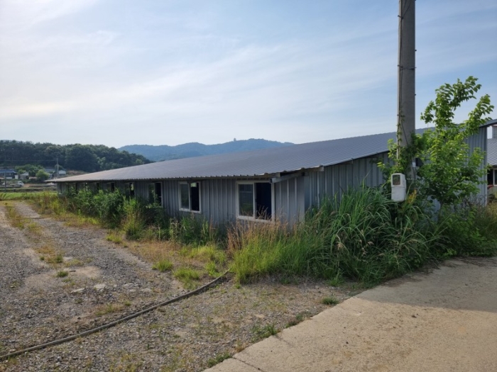 본건 전경 21-머)