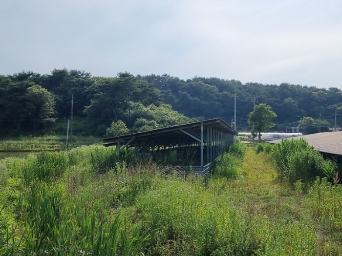 본건 전경 23-서)