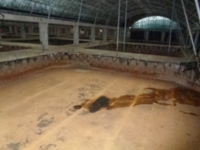 소재지1~4,6(고산리 3932,3932-1,3932-2,3934-1,3933-2)내부사진 기계기구1(수조시설) 사진