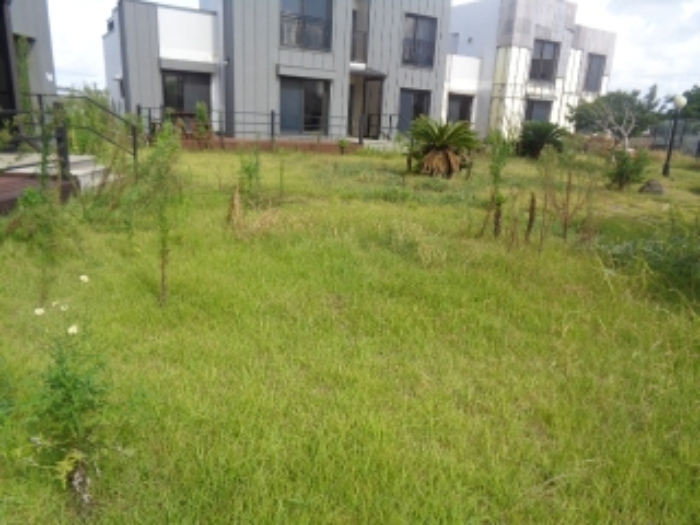 소재지7(사계리 2391-17) 전경 사진