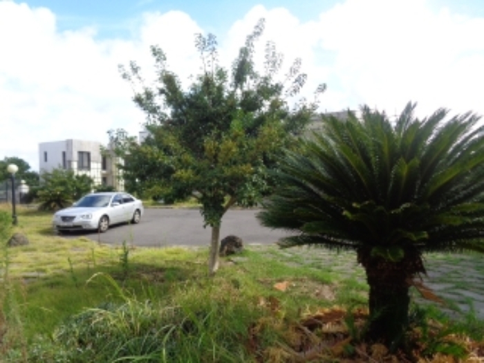 소재지7(사계리 2391-17) 전경 사진