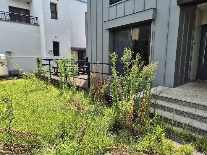 기호(8) 전면 및 측면 데크시설