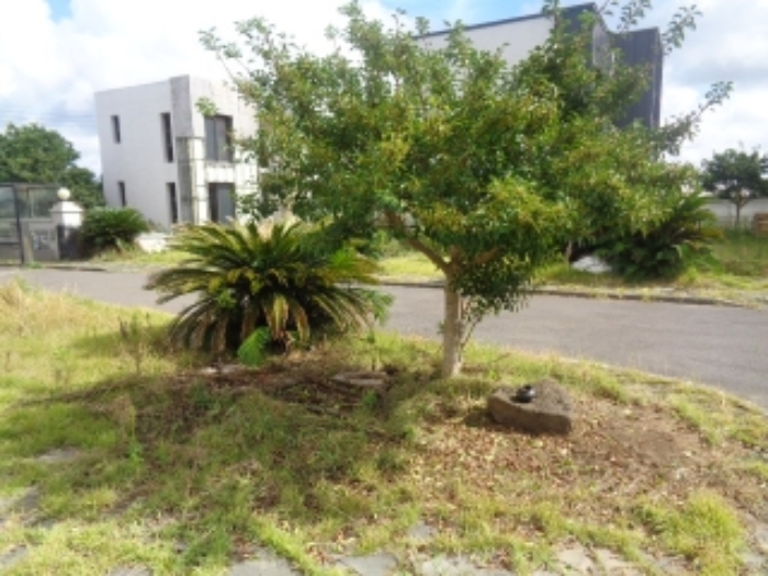 소재지11(사계리 2391-19) 전경 사진