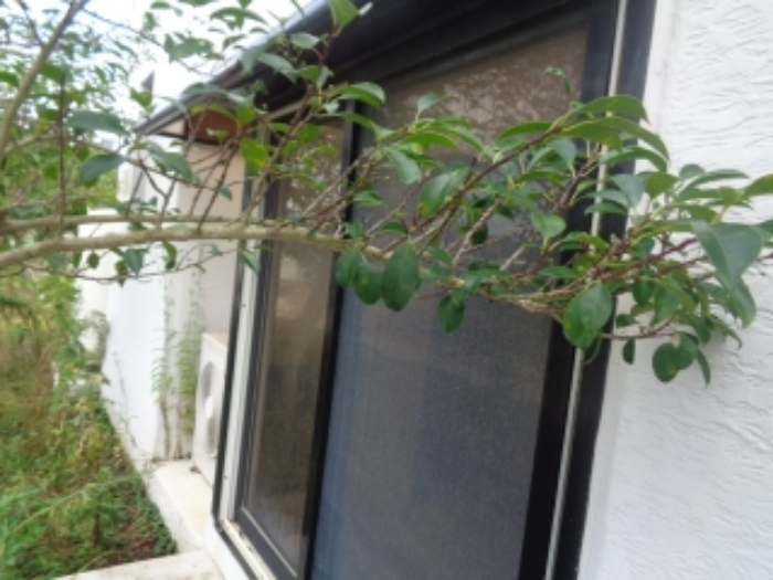 제시외 건물(ㅊ) 사진