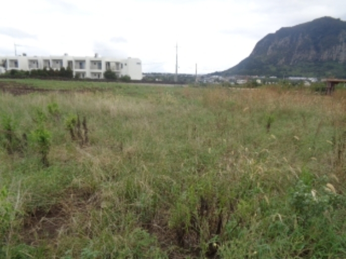 소재지1(사계리 2267-1) 전경 사진