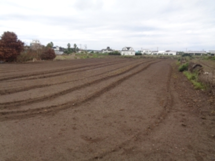 소재지8(사계리 2269-1) 전경 사진