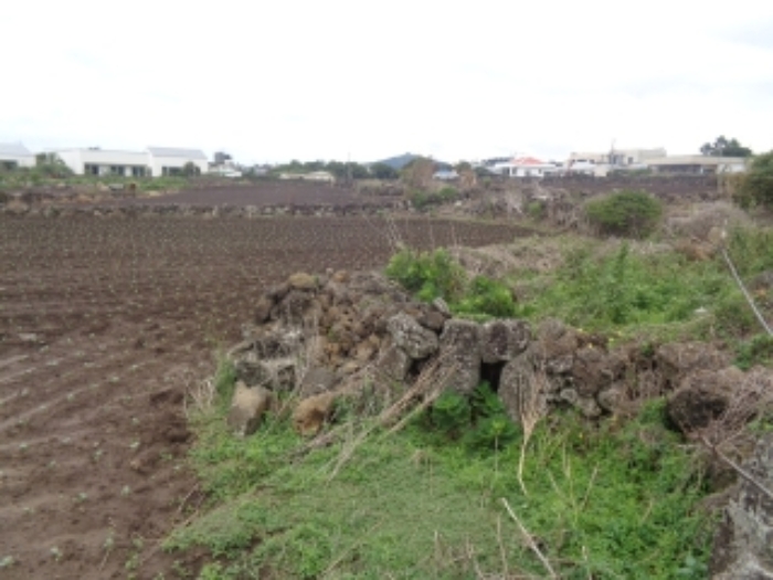 소재지2(사계리 2261) 전경 사진