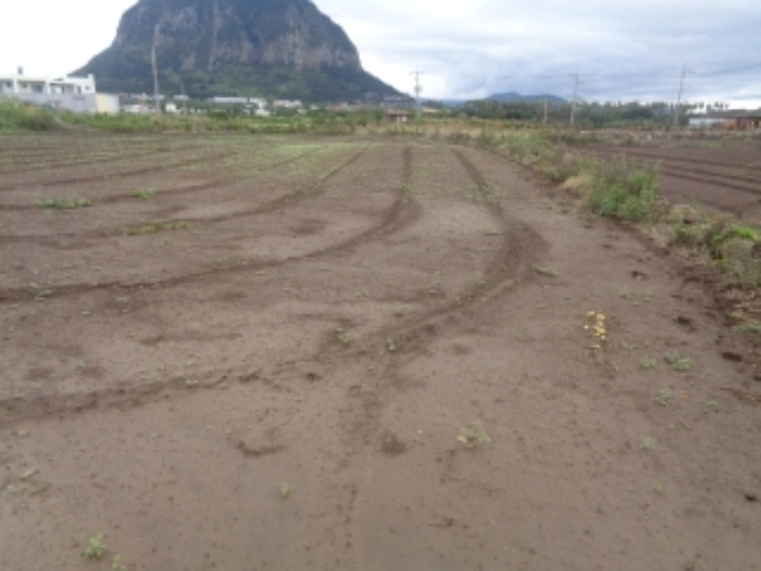 소재지4(사계리 2262) 전경 사진