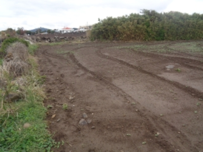 소재지5(사계리 2263) 전경 사진