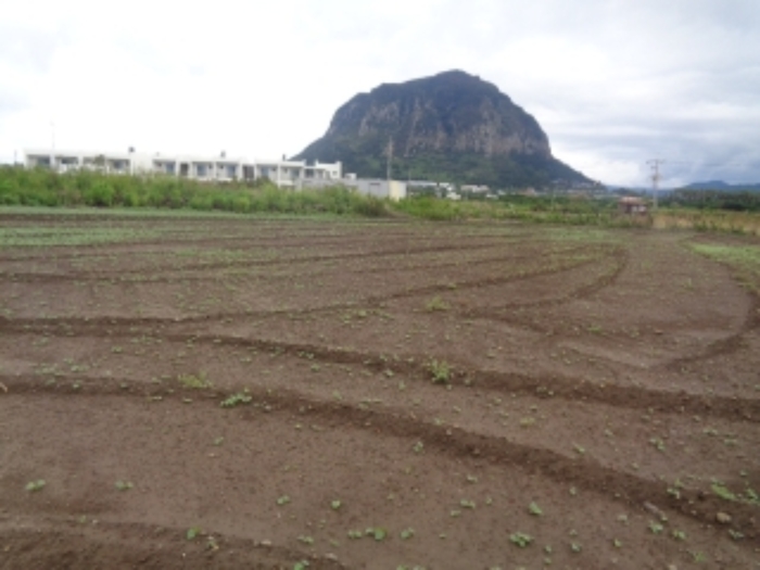 소재지5(사계리 2263) 전경 사진