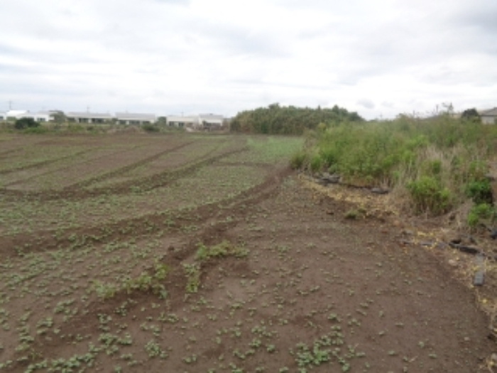 소재지6(사계리 2264) 전경 사진