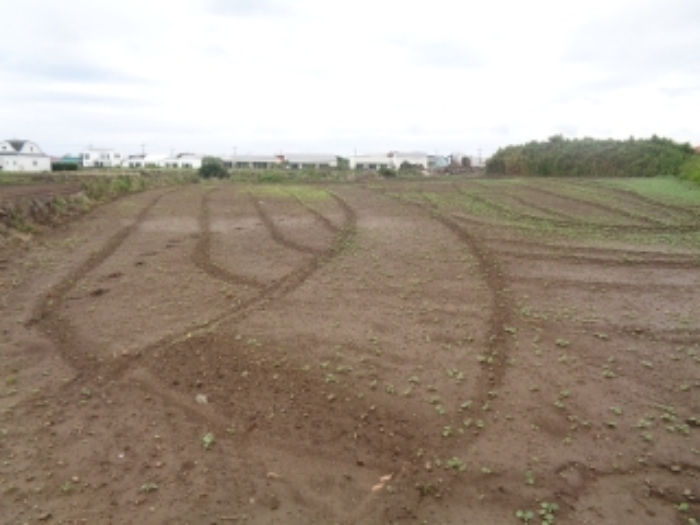 소재지7(사계리 2268) 전경 사진