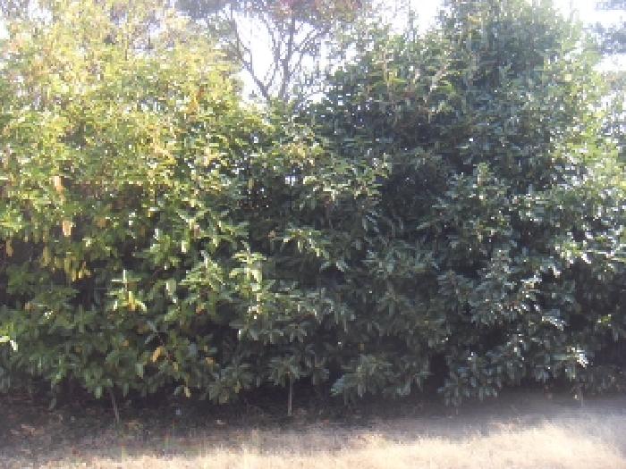 소재지1(하예동 1795-1) 전경 사진