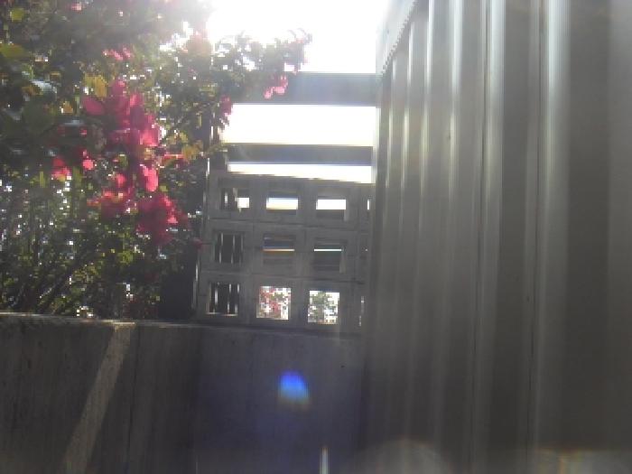 제시외 건물(ㄱ) 사진