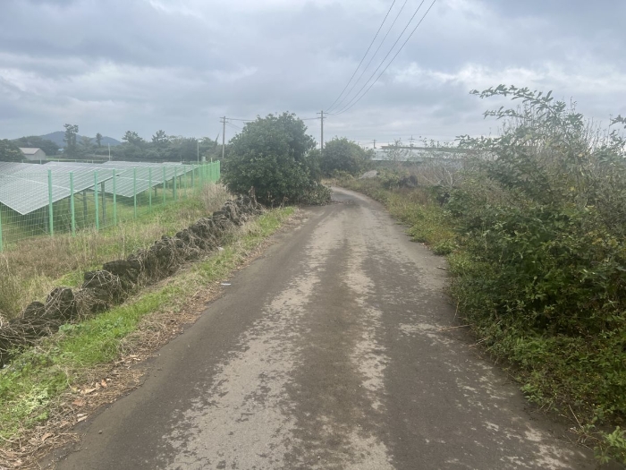 대상물건 인접도