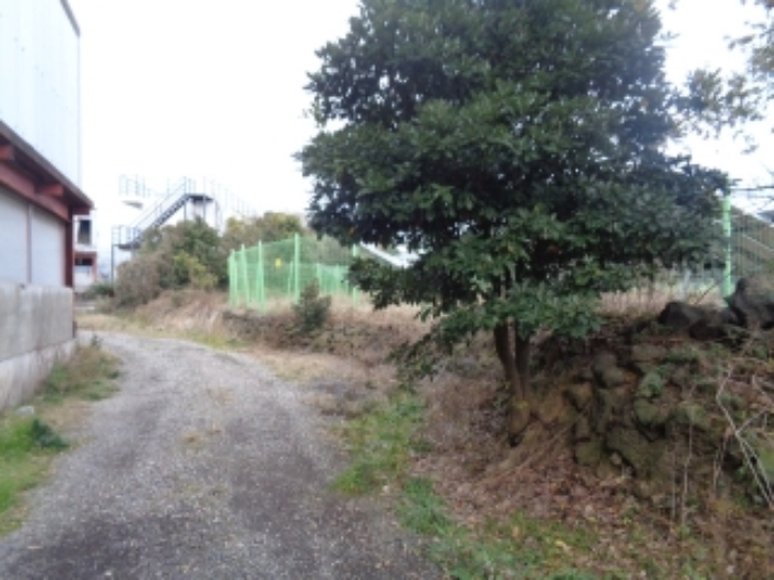 소재지1(금악리